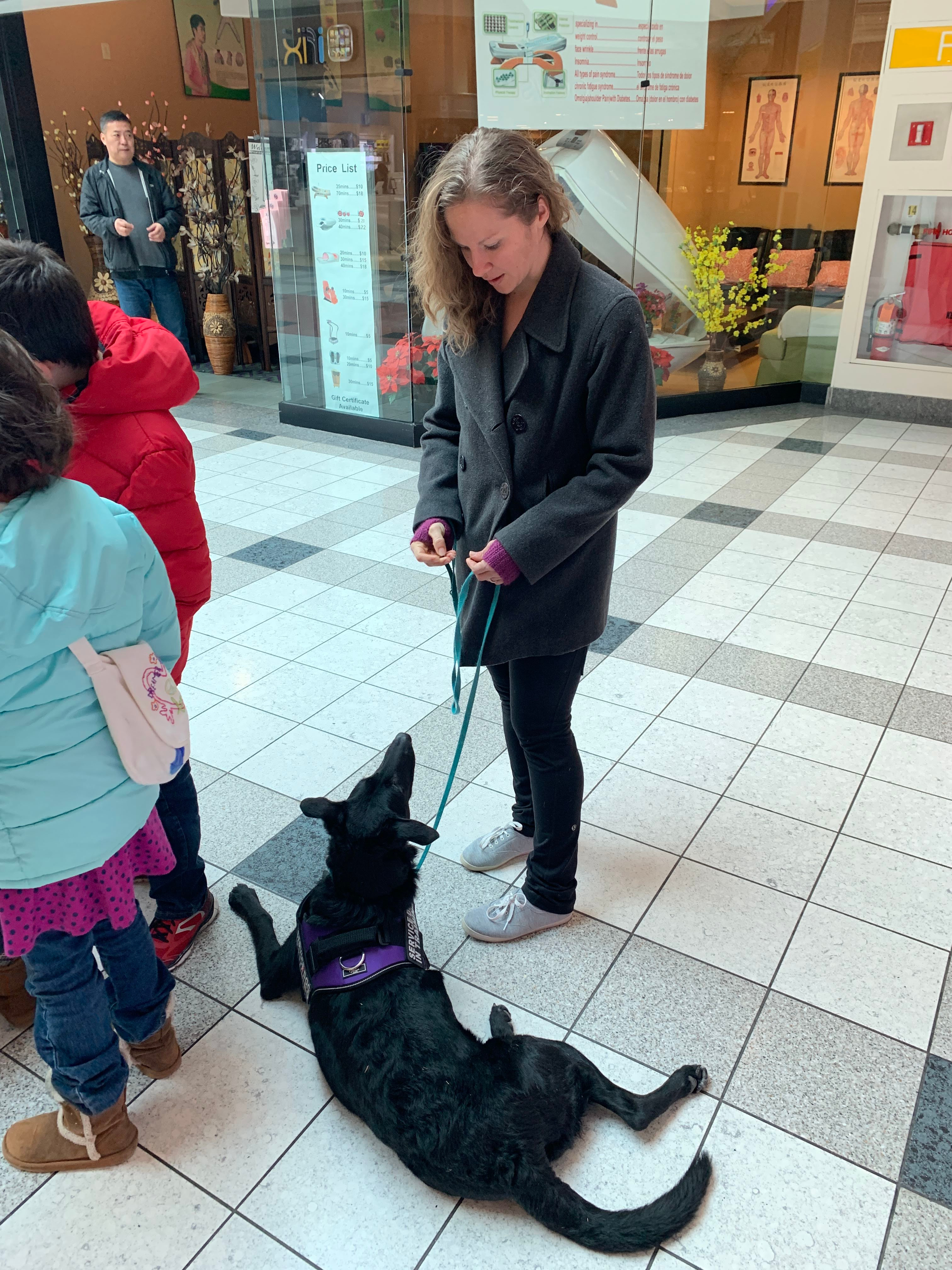 mall puppy